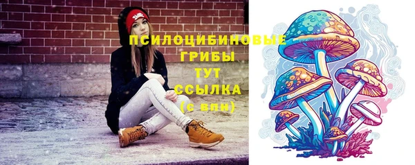 2c-b Алексин