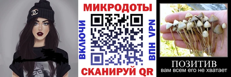 дарнет шоп  Малаховка  Галлюциногенные грибы прущие грибы 