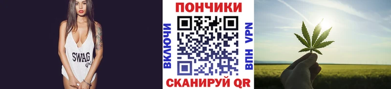 где продают наркотики  Малаховка  Бошки марихуана конопля 